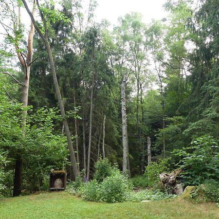Ferienwohnung Niemann In Lutterloh Unterluss Exteriér fotografie