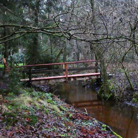 Ferienwohnung Niemann In Lutterloh Unterluss Exteriér fotografie