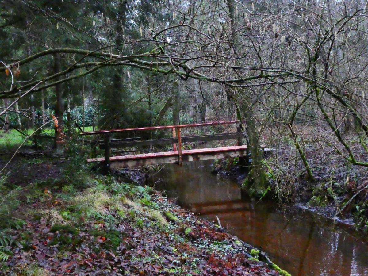 Ferienwohnung Niemann In Lutterloh Unterluss Exteriér fotografie