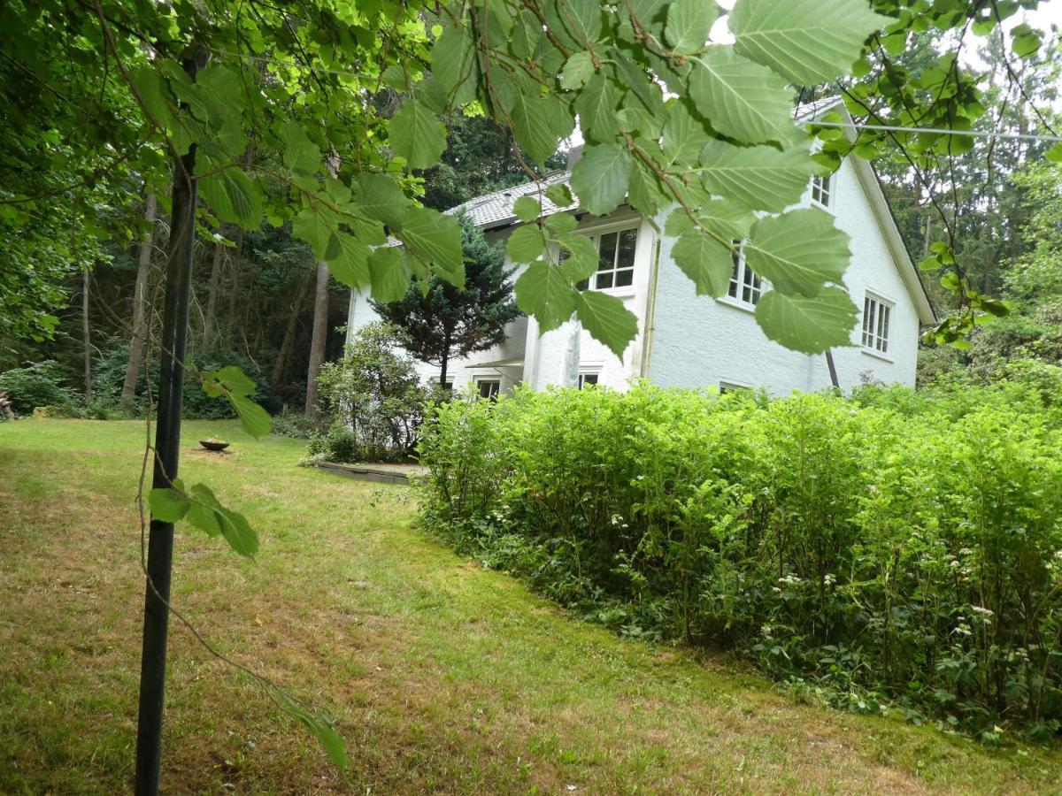 Ferienwohnung Niemann In Lutterloh Unterluss Exteriér fotografie